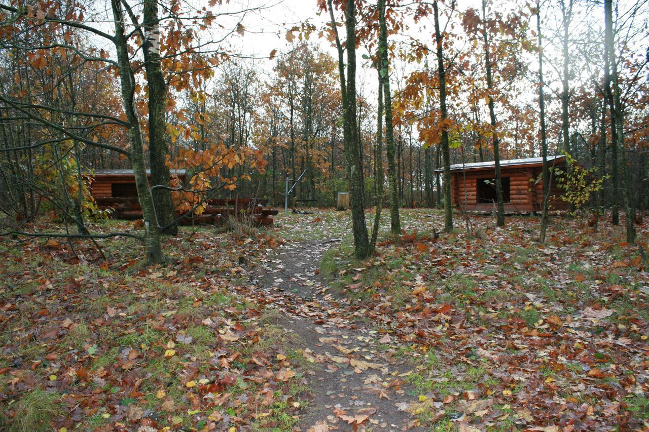 Mejrup Bed And Breakfast Holstebro Luaran gambar
